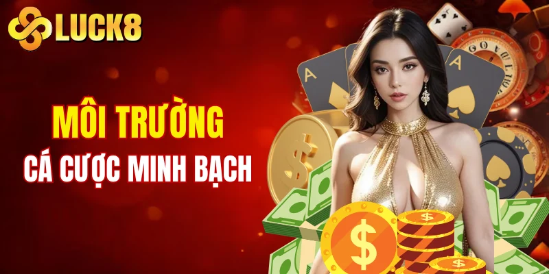 Môi trường cá cược minh bạch